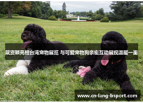 戴资颖亮相台湾宠物展览 与可爱宠物狗亲密互动展现温暖一面