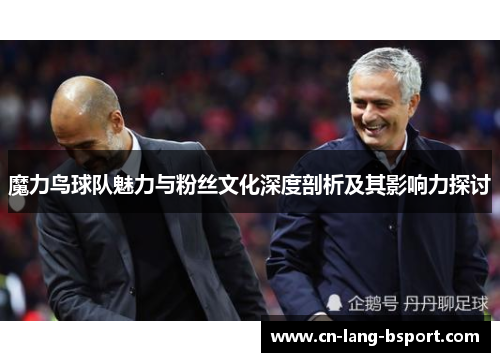 魔力鸟球队魅力与粉丝文化深度剖析及其影响力探讨